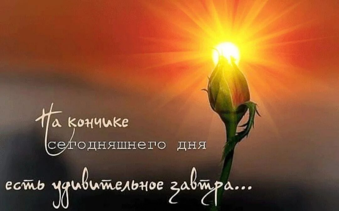 Кафе "У пани Сони"