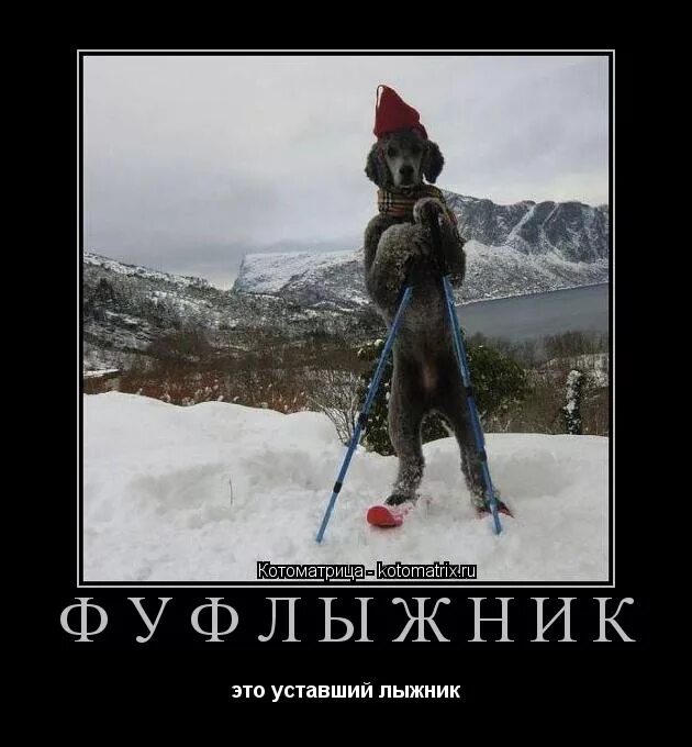 Фуфлыжник на зоне. Фуфлыжник. Фуфлыжник значение этого слова. Фуфлыжник. Фуфлыжник значение этого слова.