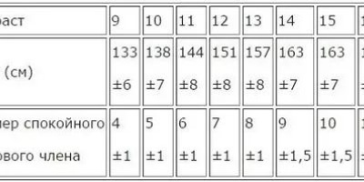 таблица измерения члена