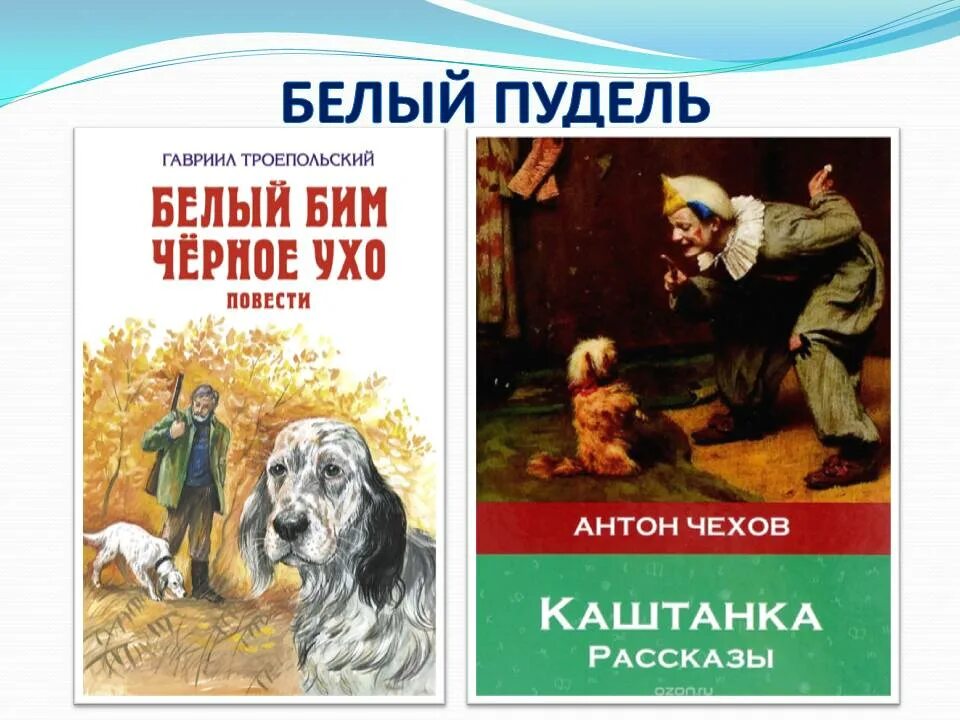 Кто написал пудель. Белый пудель 1-6 глава. Белый пудель Троепольский. А. И. Куприн "белый пудель". Белый пудель Куприна.