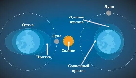 Земля Луна отлив прилив схема. Схема влияние Луны на землю. Приливы и отливы Луна. Приливы и отливы влияние Луны. Приливы воды на луну