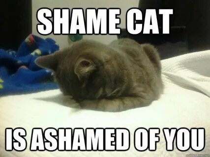 Shame on me catch your breath перевод