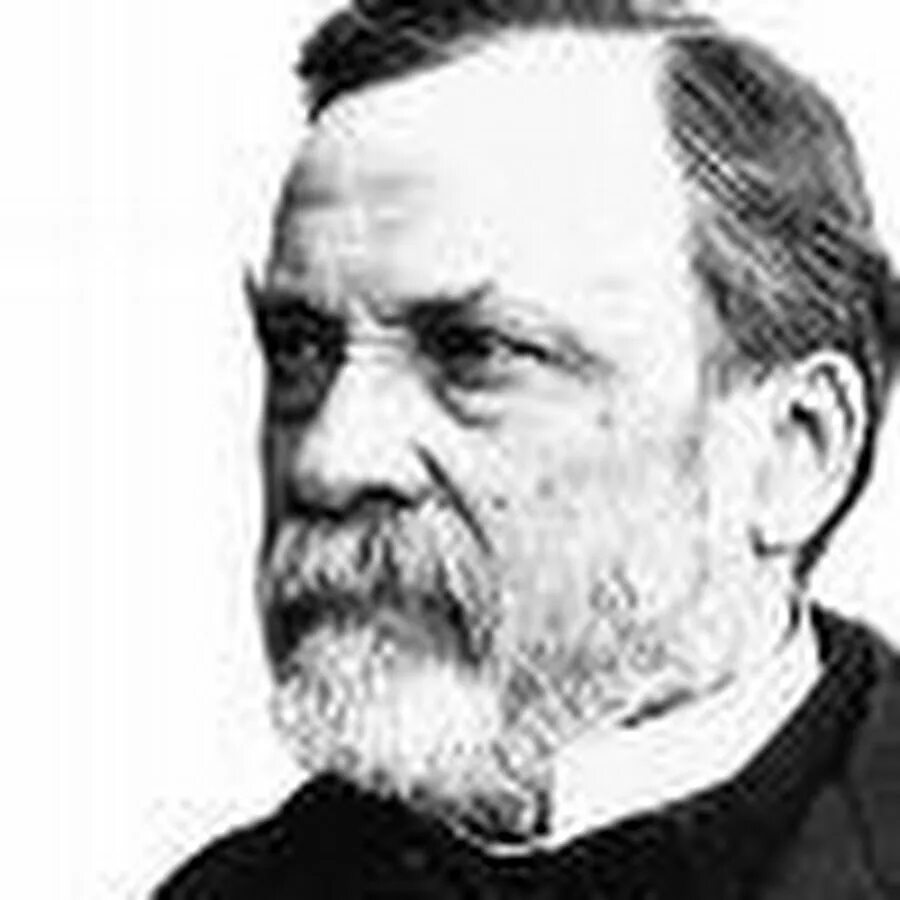 Пастер сайт. Луи пастер. французский микробиолог луи пастер.. louis pasteur (1822-1895). луи пастер портрет.