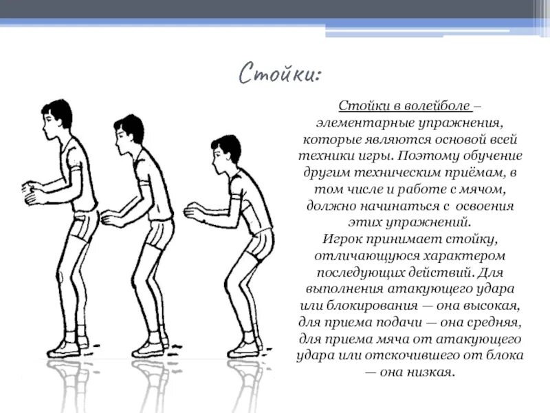 Техника игры стойки в волейболе. Техника стойки волейболиста. Основные стойки игрока в волейболе. Стойки и перемещения в волейболе. Передвижения и общий