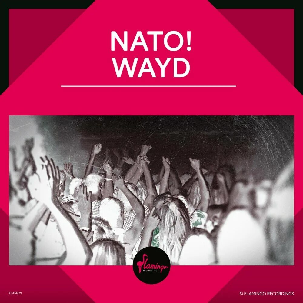 Нато музыка. Wayd. NATO Music. Flamingo recordings. D Wayd.