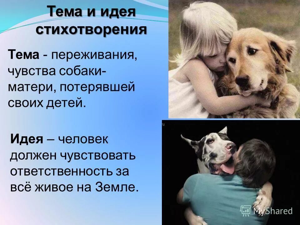 Стихотворение собака тема