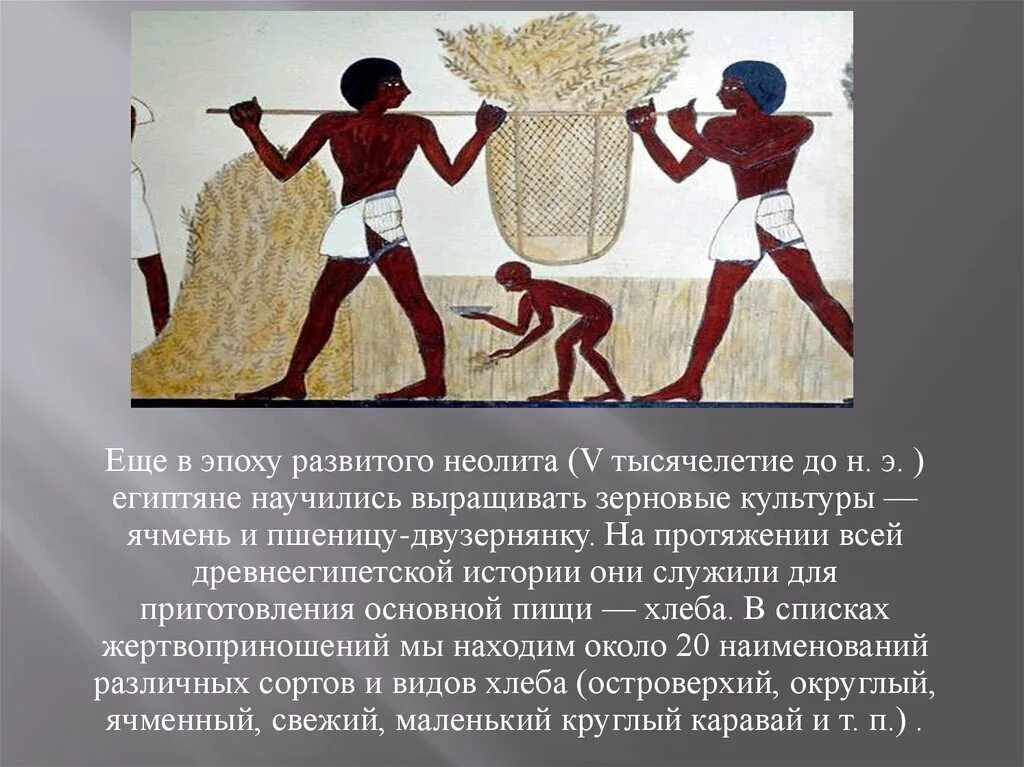 Анализ древности. Питание древних египтян. Спорт в древнем Египте. Питание в древнем Египте. Пища древних египтян 5 класс.