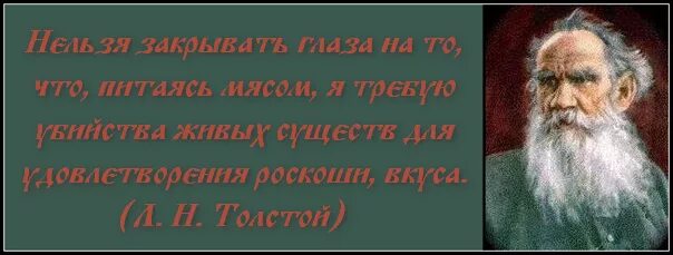 Лев толстой о животных. Лев николаевич толстой вегетарианец. л н толстой вегетарианство. лев толстой о вегетарианстве. толстой и вегетарианство.