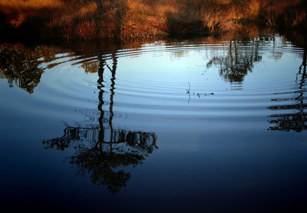 Отражение вода песни. Отражение в воде. Красивое отражение в воде. Зеркальное отражение в воде. Отражение предметов в воде.