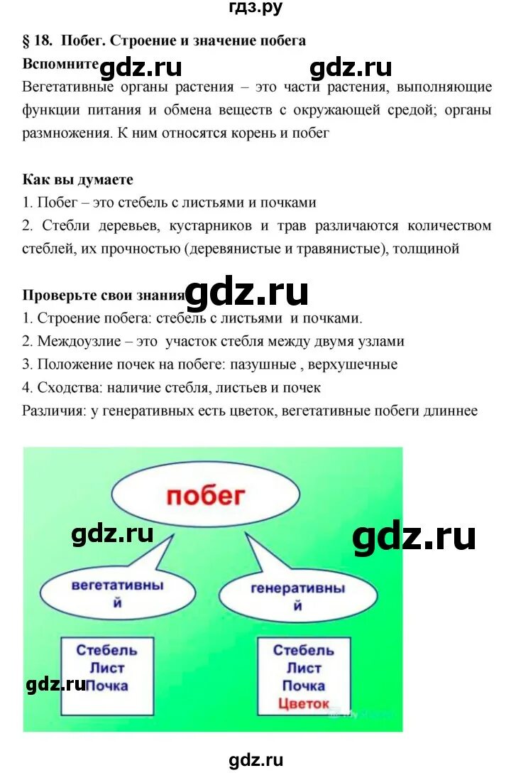 Тест по биологии 18 параграф. Биология 6 класс параграф 18. Конспект по биологии восемнадцатый параграф. Биология 6 класс учебник Исаева Романова. Исаева,Романова.биология.6 класс-РС.