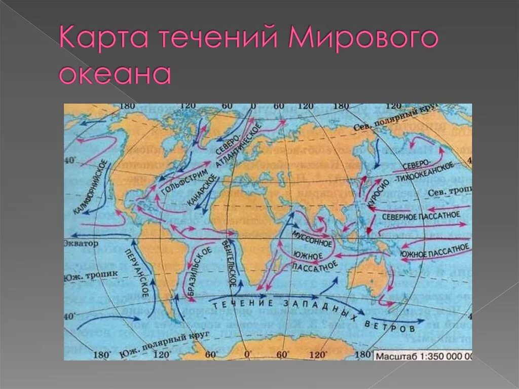 Теплое мозамбикское течение является частью какого океана. Карта течений мирового океана. все течения мира. карта течений с названиями.