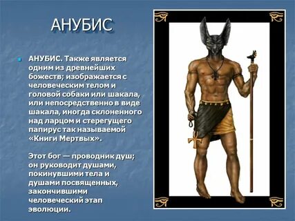 Анубис 5 класс кратко