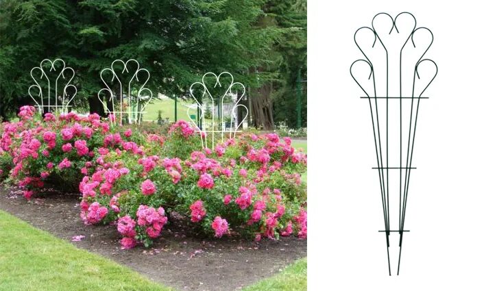 32 Affordable DIY Garden Trellis for Well Decorated Landscape Climbing roses tre
