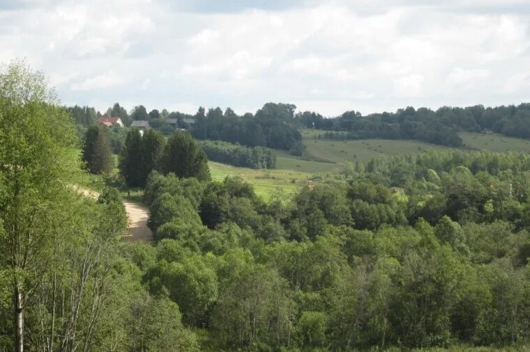 Снт шелыгино вологодский район. Деревня грибцово вологодский район. Земля вологда. Максаково вологодская область. Деревня никоновская белозерский район.