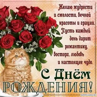 Бесплатные поздрав