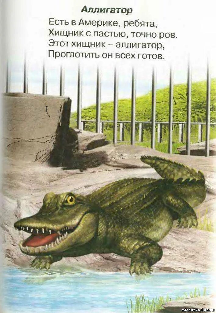 Загадка про крокодила. Стих про крокодила для детей. загадка про крокодила для детей. стихотворение про крокодила для детей. стишок про крокодила для малышей.