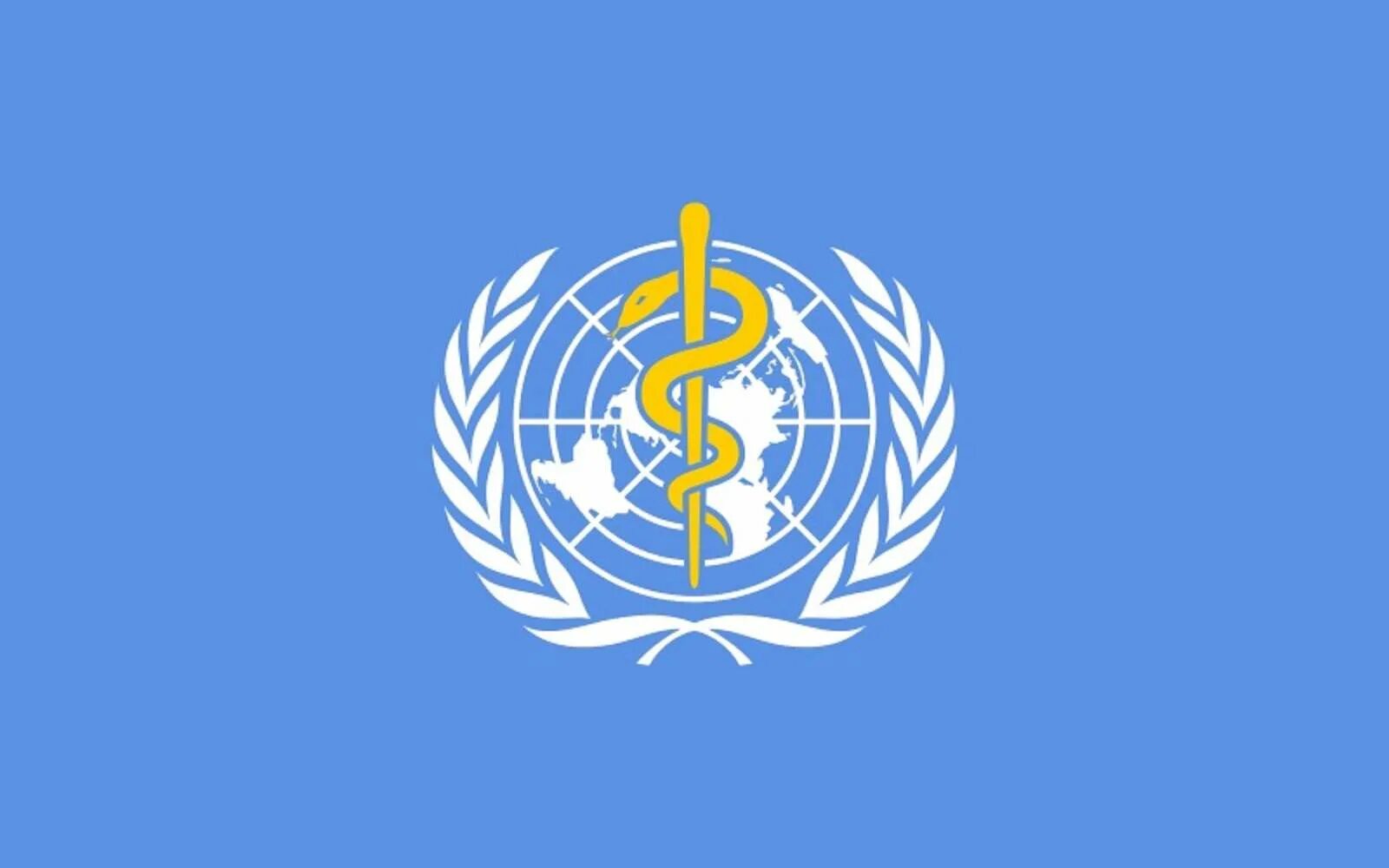 Экосос оон. Всемирная организация здравоохранения. Эмблема ООН. Флаг ООН плоская земля.