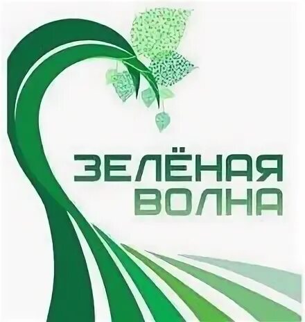 Зеленая волна личный. Акция зеленая волна. Конкурс зеленая волна. Экоклуб зеленая волна деятельность. Экоклуб зеленая волна эмблема.