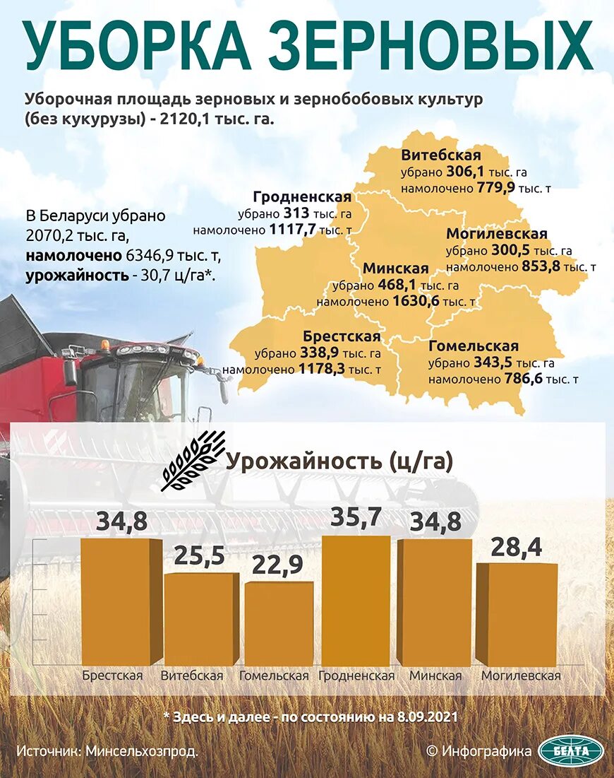 Валовый сбор зерна в Беларуси по годам. Урожайность зерновых в Беларуси. Урожай зерновых. Урожайность инфографика. Урожайность кукурузы составляет 4 тонны