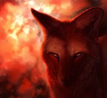Light fox