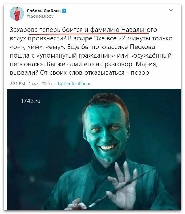 Тот чье нельзя называть. Навальный волан де Морт.