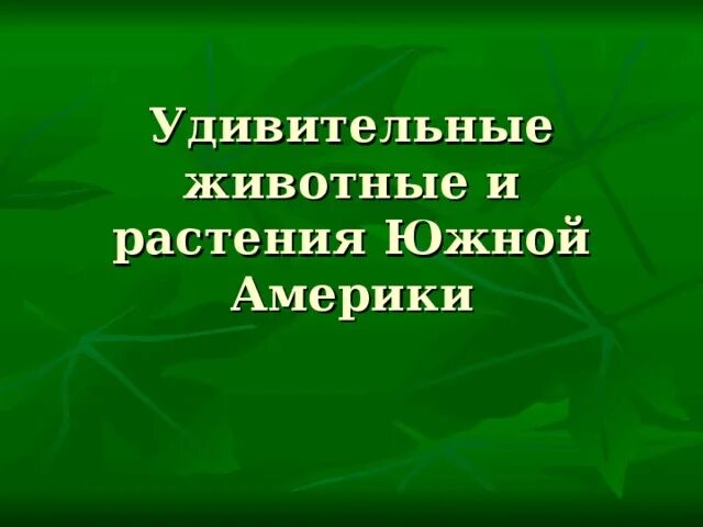 Растительный и животный мир южной америки. Растительный и животный мир южной америки презентация. Животные мир южной америки. Животный и растительный мир южной америки презентация. Удивительные животные южной америки презентация 7 класс.