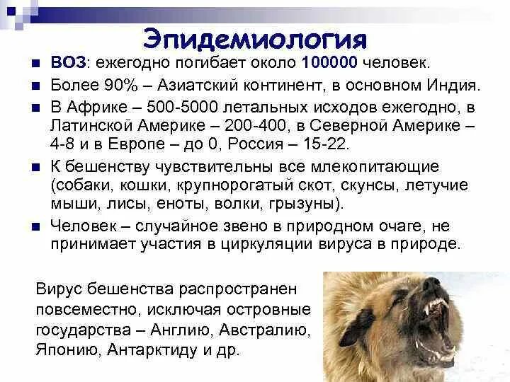 Бешенство во внешней среде живет. Характеристика фиксированного вируса бешенства:. Бешенство во внешней среде живет. Бешенство во внешней среде живет. Бешенство во внешней среде живет.