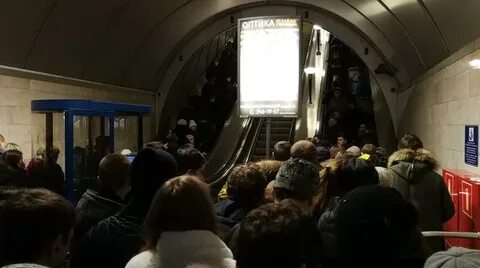 Петроградская часы работы