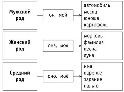 Составьте схему среднего рода люди
