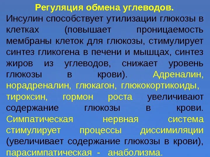 Инсулин стимулирует синтез гликогена. Регуляция обмена углеводов. Уровни регуляции углеводного обмена. Механизмы регуляции углеводного обмена. Метаболический уровень регуляции углеводного обмена.