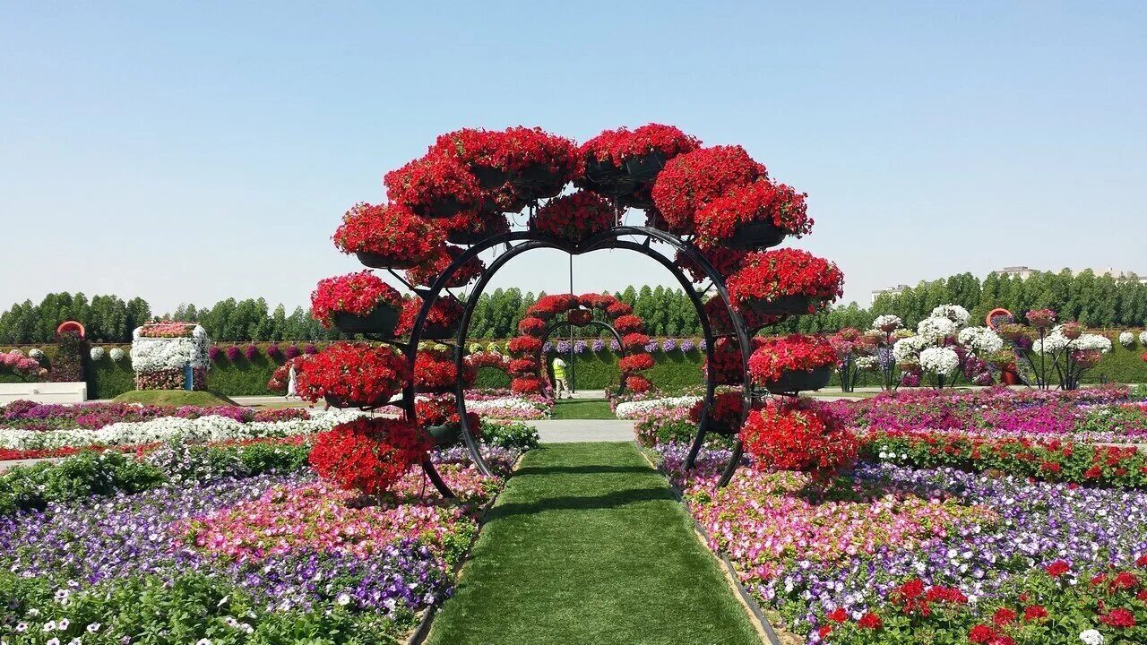 Гарден парк дубай. Парк цветов миракл гарден. Miracle garden дубай. Сад в дубае миракл гарден. Парк сад чудес в дубае оаэ.