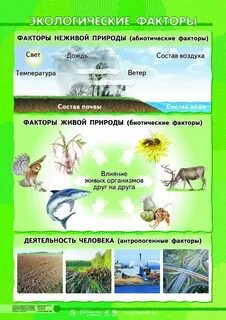Как распознать природы