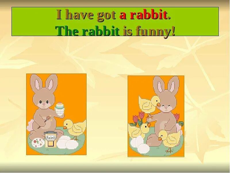 Has got a Rabbit. The Rabbit is funny вопросительное предложение. I have got a Rabbit.