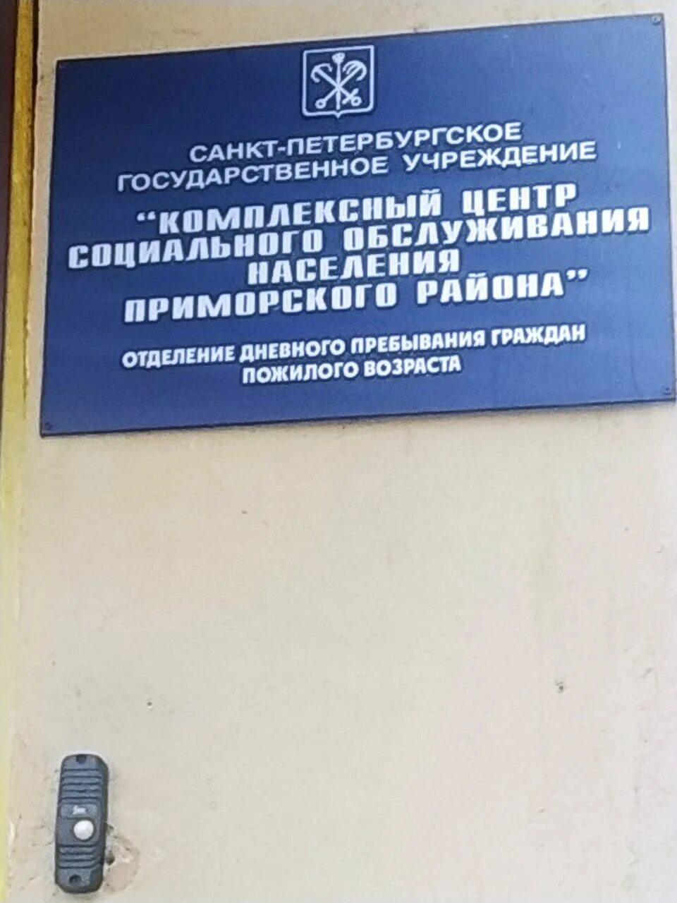 Цосо спб. Центр организации социального обслуживания спб. Служба социальных участковых. Соц службы спб. Цосо спб.