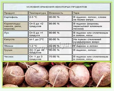 Вареная свекла сколько хранится в холодильнике очищенная