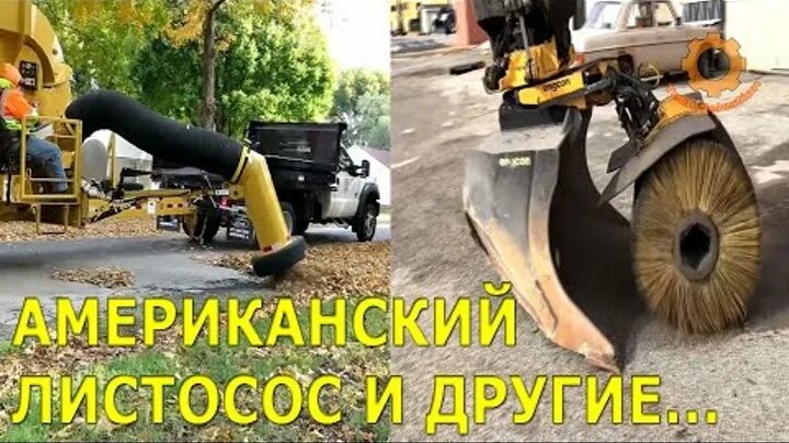 Листосос. Листосос ясеневый 6 букв