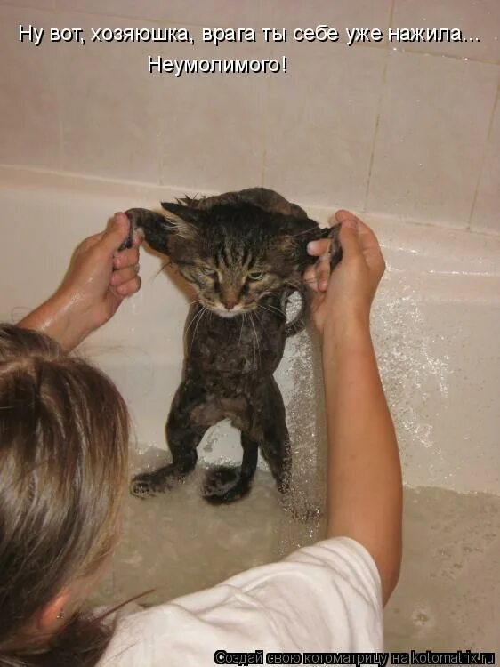 я не грустный я трезвый картинки. я уже трезвый неделю. пятница закончилась. трезвая скучная. трезвая жизнь скучна.