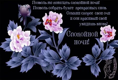 Сообщения спокойной ночи девушке