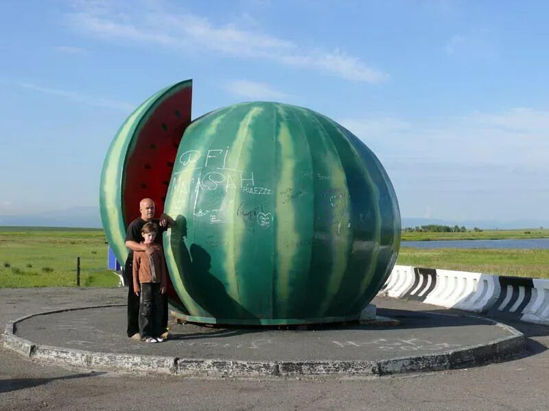Арбуз мегамаркет. Арбуз 159 кг. Гигантский Арбуз. Самый большой Арбуз. Самый большой ОРБИЗ В мире.