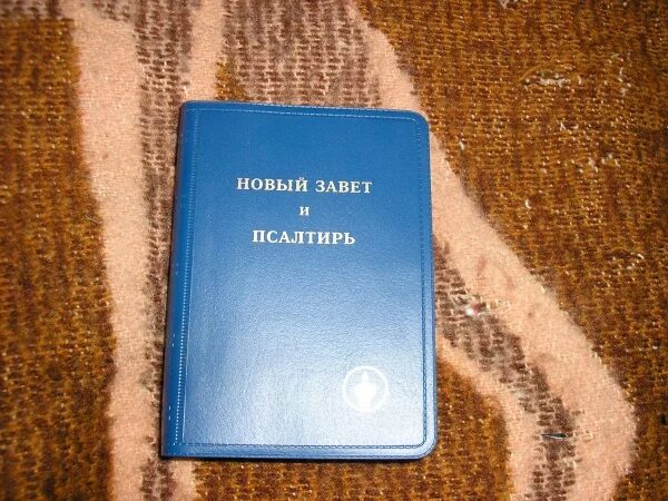 Книга тринадцать. Голубая книга. Тринадцать маленьких голубых конвертов книга. Маленькая голубая вещица цикл. Новый завет в голубой обложке.