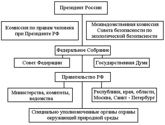 Система органов управления схема Фотографии ОРГАН ВЛАСТИ ПРИ ПЕТРЕ