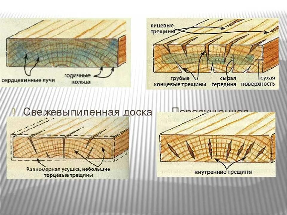 Сколько нужно сохнуть. Трещины древесины. Правильная сушка древесины. Правильная сушка досок. Естественная усушка древесины.