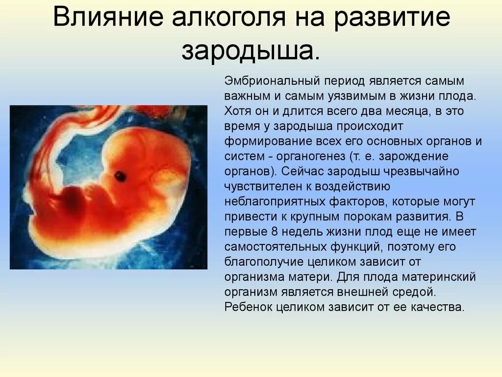 Отрицательный беременности последствия