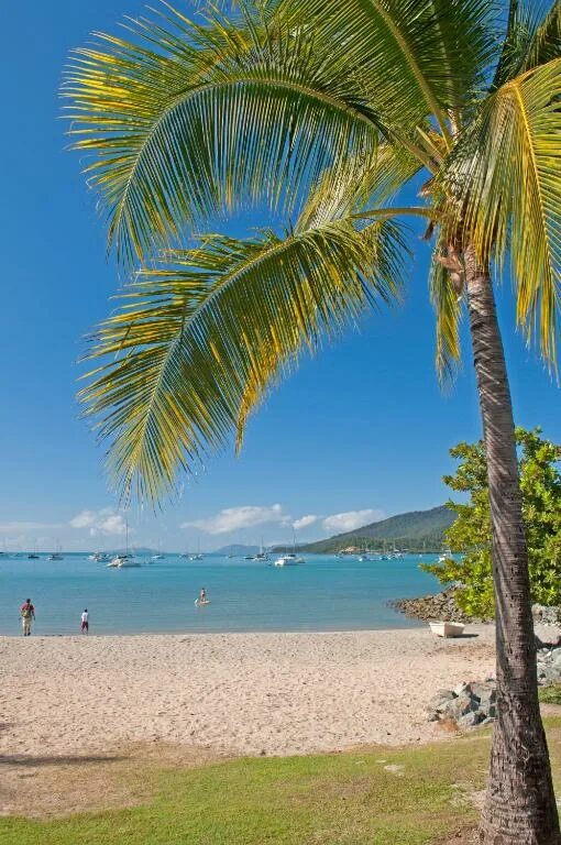 Эрли бич. Airlie beach. Убин остров. Early beach. Эрли бич.