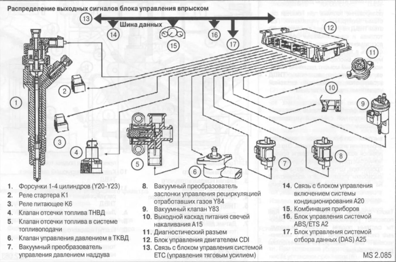 Проводка спринтер. Топливная система дизель Мерседес w204. Схема топливной системы Мерседес Спринтер 2.2. Топливная система Мерседес 124. Топливная система дизель Мерседес w463.