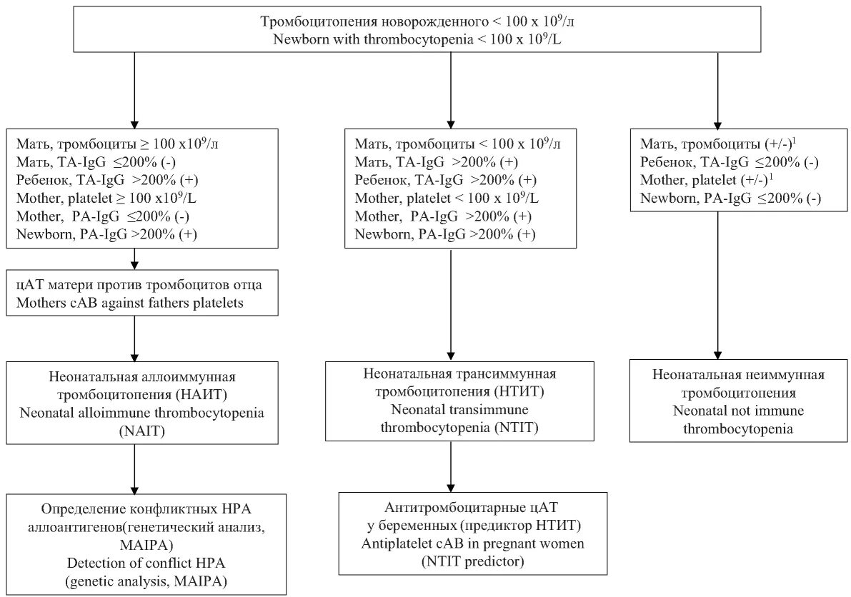 Иммунная тромбоцитопения симптомы. Антителозависимая тромбоцитопения. Неонатальная аллоиммунная тромбоцитопения. Тромбоцитопения у новорожденных