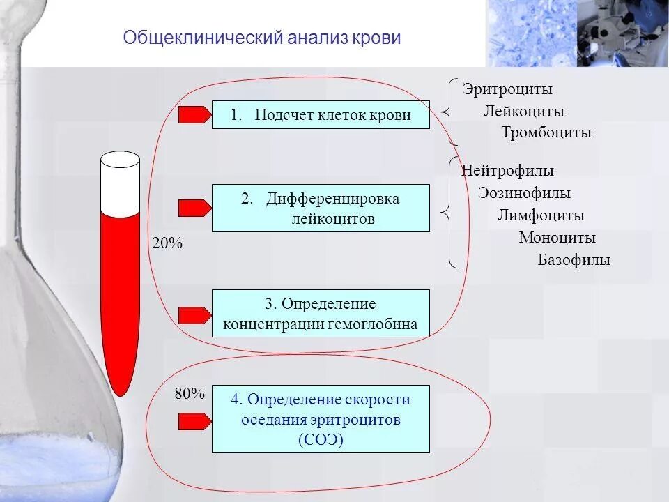 Подготовка к общему анализу крови. Памятка по анализу крови. Памятка по сдаче биохимического анализа крови. Биохимическое исследование крови памятка.