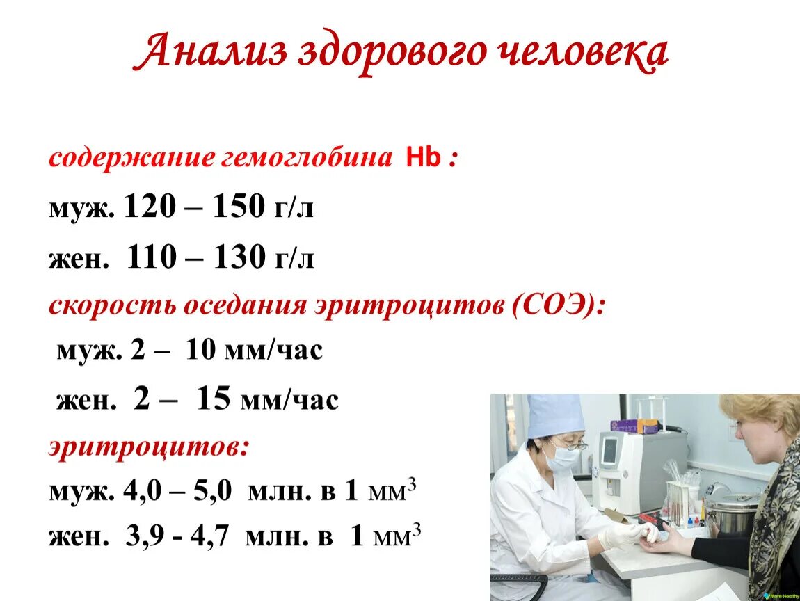 Анализ крови здорового человека. Анализ крови здорового человека показатели. Норма анализов здорового человека. Общий анализ крови здорового человека показатели женщина. Выполнен анализ синоним