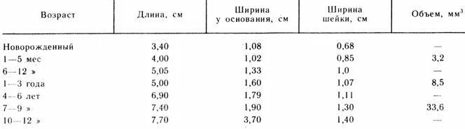 Размер желчного пузыря у мужчин