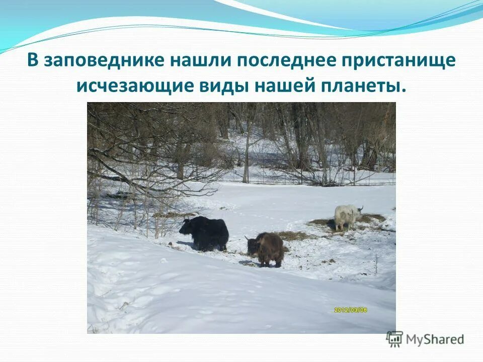 Ru автозапчасти для иномарок. Западные ветры умеренных широт. Евразия карта географическая природная зоны. Заповедники национальные парки заказники россии на карте. Abs auto.